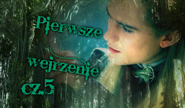 Pierwsze wejrzenie cz.5