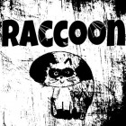 Raccoon