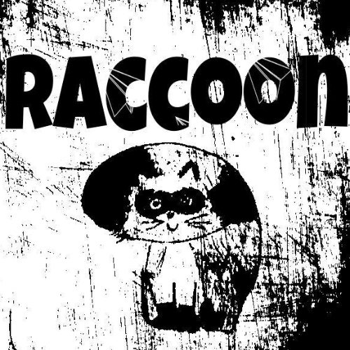 Raccoon
