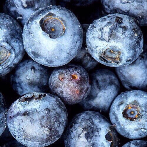 Blueberry0O