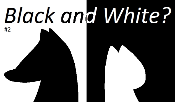 Black and White? #2