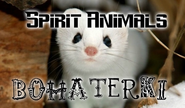 Spirit Animals: Bohaterki #1