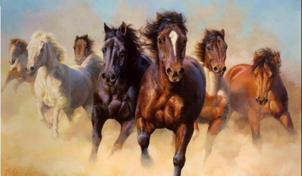 Czy odgadniesz rasy koni?