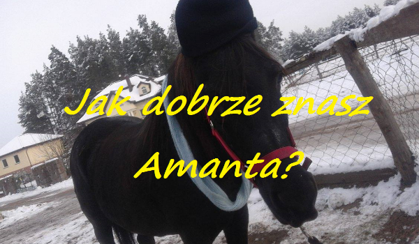 Jak dobrze znasz Amanta z fp ( Amant – Black Horse )?