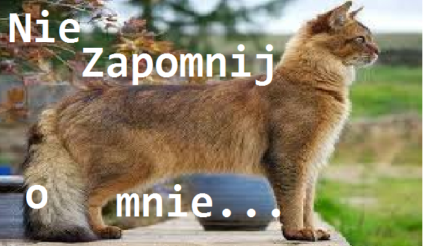 Nie zapomnij o mnie… #1