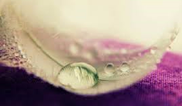 Miniaturka dla Bloomixa