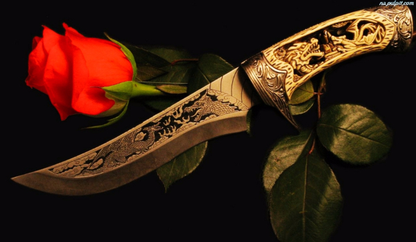 Czerwona Róża #4 Zgliszcza