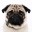 Mr.Pug