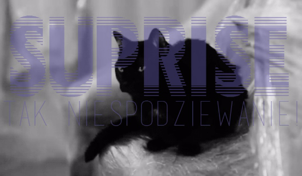 Suprise!@huge_dreamer