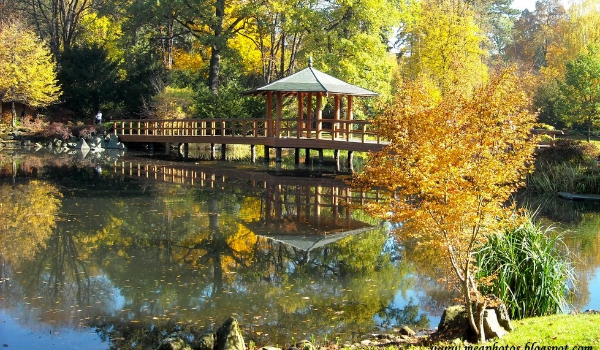 Lassy with memories # 4