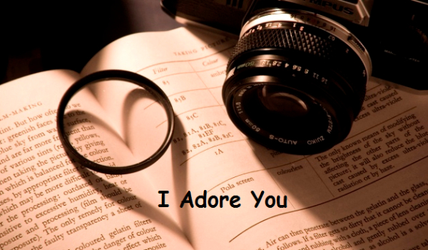I Adore You- Prolog