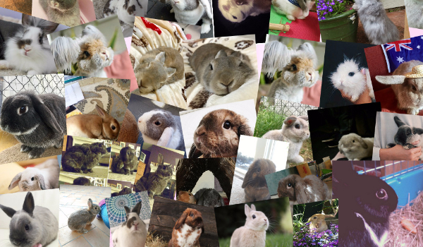 Czy one nie są urocze? #16