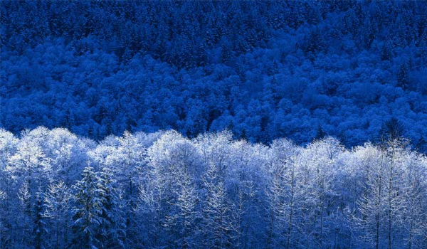 Śliskie Marzenia #4 Nowa