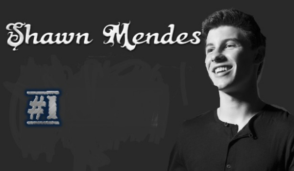 Shawn Mendes #1