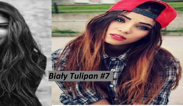 Biały Tulipan #7