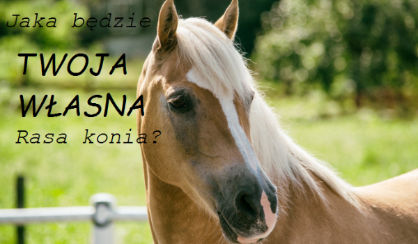 Stwórz swoją własną rasę konia!