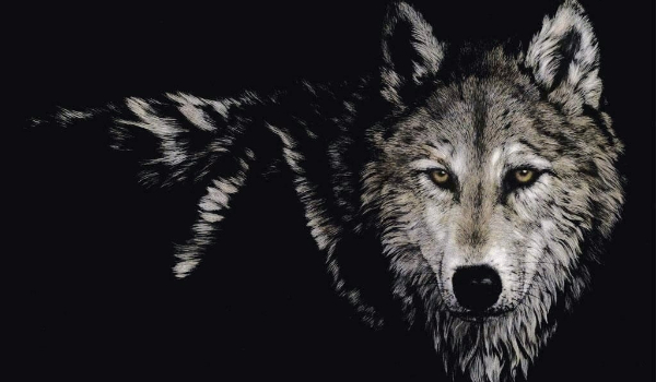 Alfa #3 Prawdziwe początki