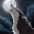 LunaTheWhiteFox