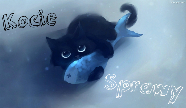 Kocie Sprawy