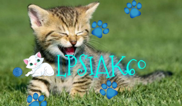 Coś dla… Lpsiak60!