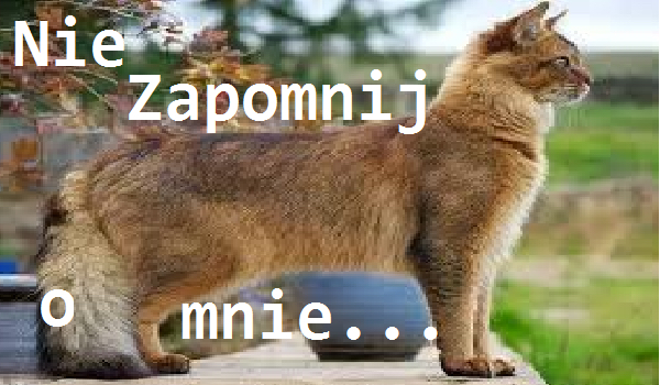 Nie zapomnij o mnie… #4