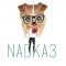 Nadka3
