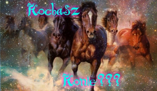 kochasz konie?