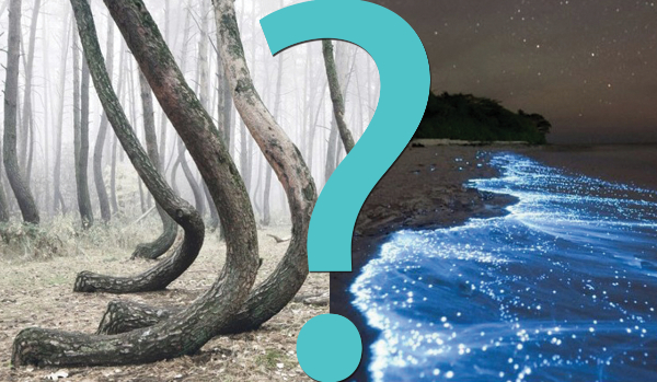 10 pytań z serii „Co wolisz?” związanych z dziwnymi miejscami!