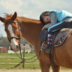 olaandhorses
