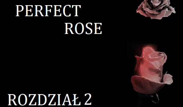 Perfect Rose -rozdział 2