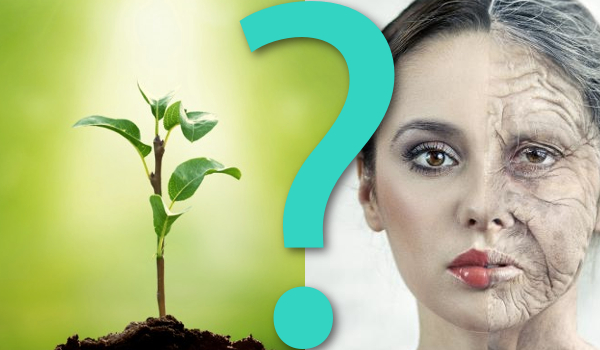 15 pytań z serii „Co wolisz?”