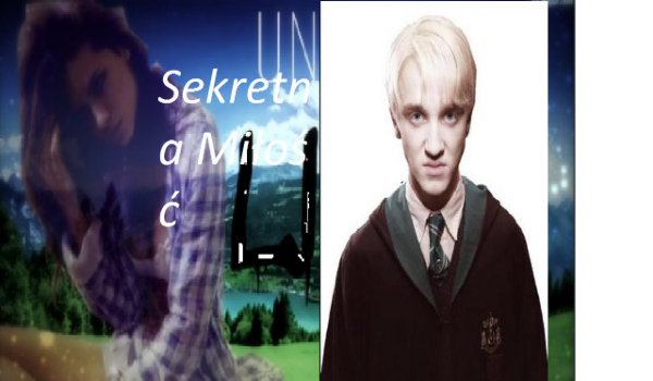 Sekretna Miłość #2