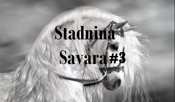 Stadnina ,,Savara”#3