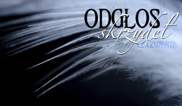 Odgłos skrzydeł #4