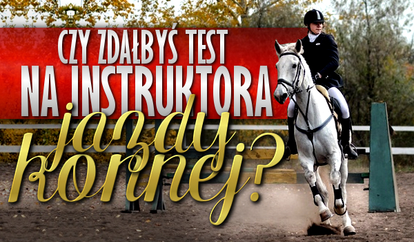 Czy zdałbyś test na instruktora jazdy konnej?