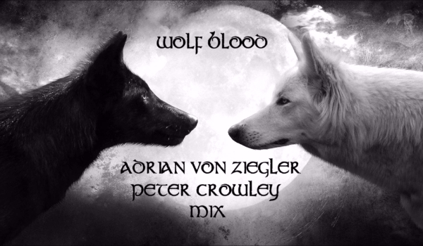 Wolf Blood #3