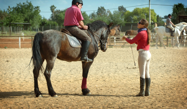 Czy mógłbyś zostać instruktorem jazdy konnej?