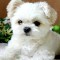 Milena_Wasacz