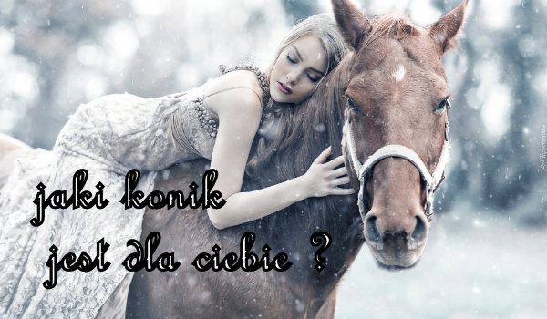 jaki koń jest odpowiedni dla Ciebie?