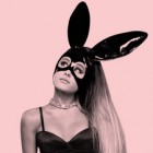 arianatorssss