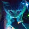 KittyChan