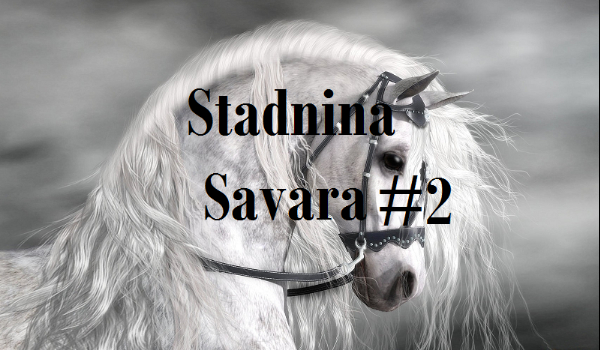 Stadnina ,,Savara”#2