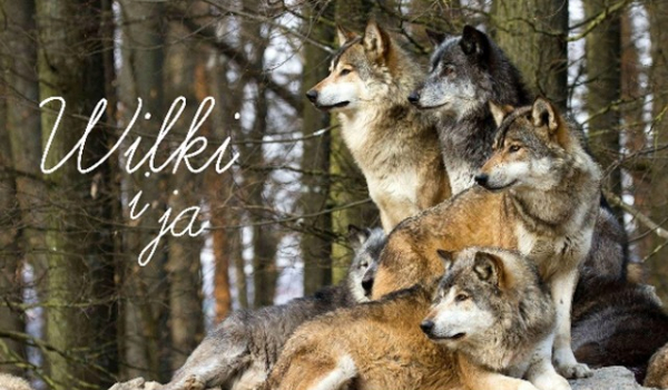 Wilki i ja #5