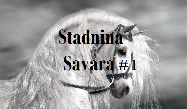 Stadnina ,,Savara”#1