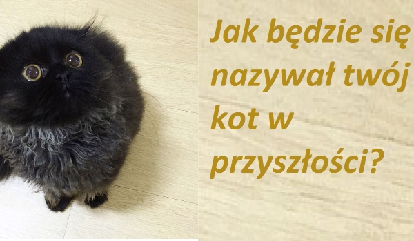 Jak będzie się nazywał twój kot w przyszłości?