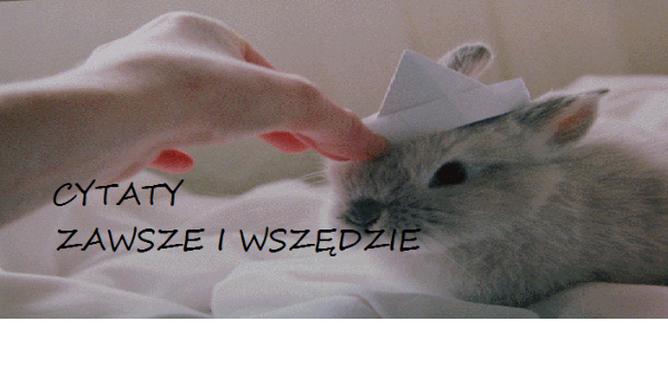 Cytaty… Zawsze i wszędzie#3