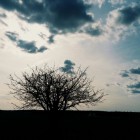 Dream_xxx