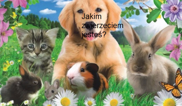 Ile masz procent w mózgu?