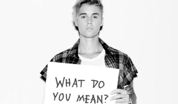 What Do You Mean ? #2