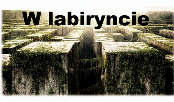 W labiryncie #7